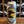 Load image into Gallery viewer, Pressure Drop Brewing - Fast Gary - Dry Stout