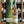 Load image into Gallery viewer, Gordon & Macphail -Discovery - Tomatin 2010 - Whisky