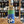 Load image into Gallery viewer, La Patagua - Semillon and Sauvignon Blanc