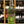 Load image into Gallery viewer, Chartreuse Green