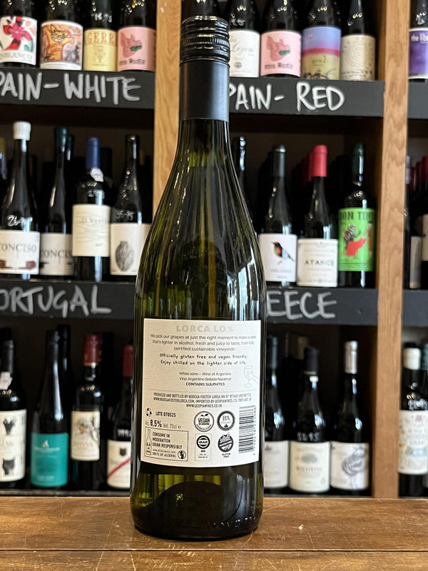Lorca LO - Criolla Blanca