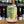 Load image into Gallery viewer, Brighton Brew Co. - Portslade Pale AF 0.5% (Gluten Free, Vegan)-Seven Cellars