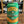 Load image into Gallery viewer, Sierra Nevada - Trail Pass - Non Alcoholic IPA
Seven Cellars