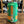 Load image into Gallery viewer, Sierra Nevada - Trail Pass - Non Alcoholic IPA
Seven Cellars