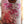 Load image into Gallery viewer, Zymurgorium - Turkish Delight-Liqueur-Seven Cellars