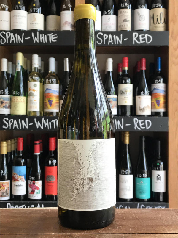 Sea of Dreams White - Vina Zorzal