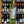 Load image into Gallery viewer, Gozenshu - Rocky Mountain 500ml - Junmai Bodaimoto Sake