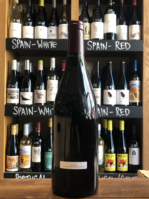 Volnay Village - Jean Javillier