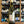 Load image into Gallery viewer, Le Clos Des Chaumes - Fiefs Vendeens White