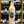 Load image into Gallery viewer, Mundo Tequila-Seven Cellars