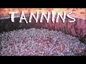 What are Tannins in wine?