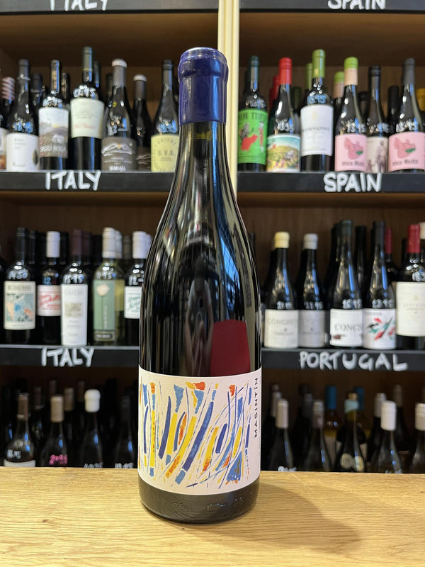 Vinos Masintin - Carinena