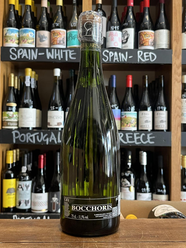 Bocchoris Brut Cava NV B2B