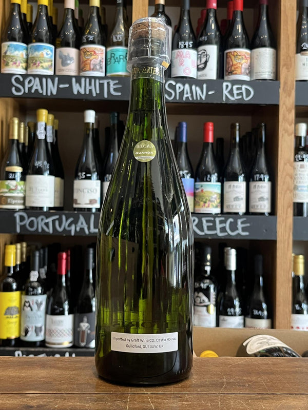 Bocchoris Brut Cava NV B2B