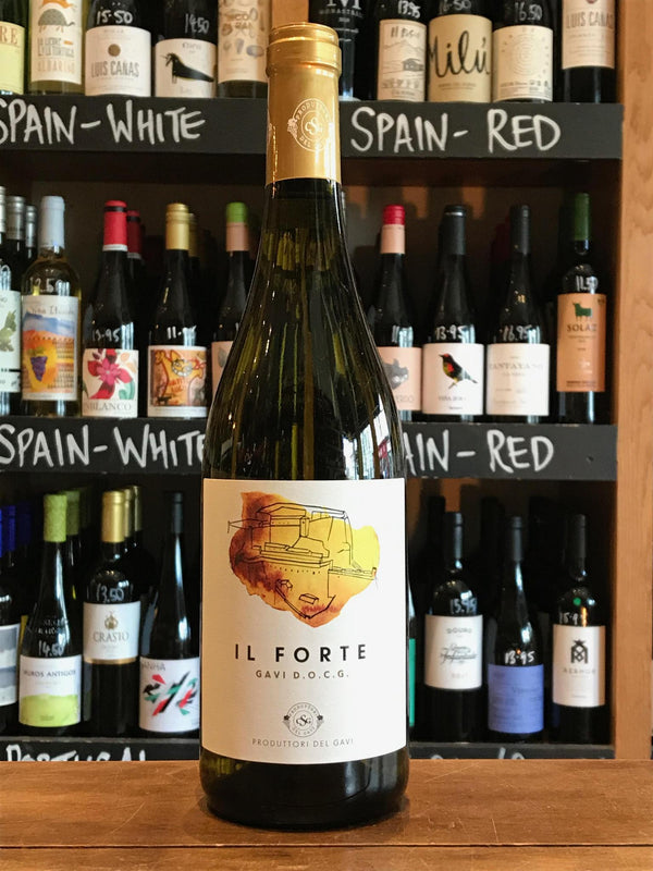 Il Forte - Gavi DOCG-Seven Cellars