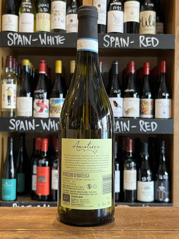 Amoterra - Verdicchio di Matelica