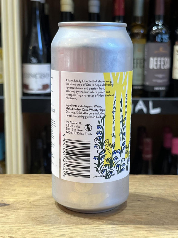 Beak - Levels - DIPA