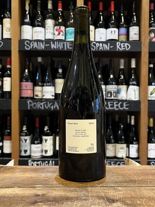 Ben Haines - Colour Block Pinot Noir