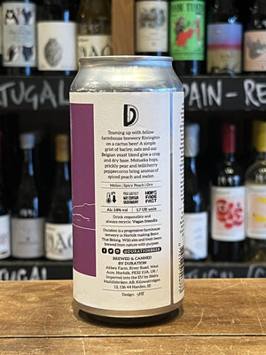 Duration Brewing x Rivington Brewing Co - Big Pyramid - Grisette-Seven Cellars