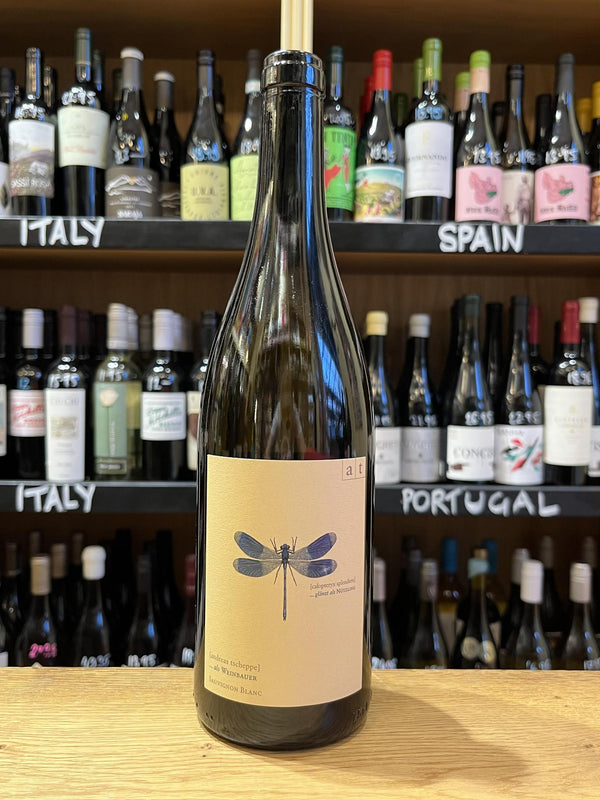 Tscheppe - Blue Dragonfly