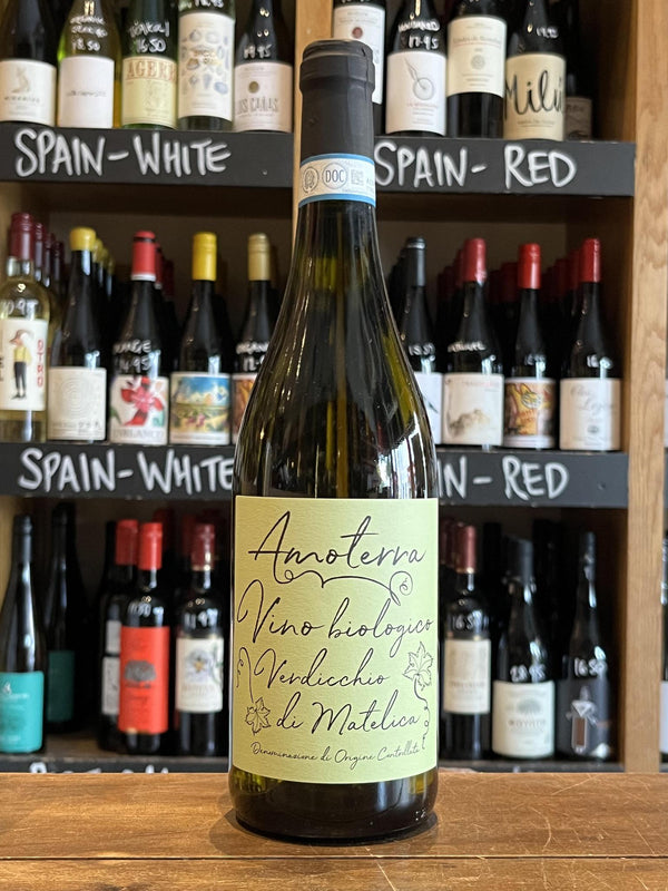 Amoterra - Verdicchio di Matelica 2022 - Seven Cellars