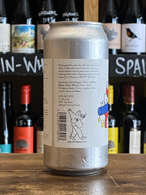 Beak - Hum - Pale Ale-Seven Cellars