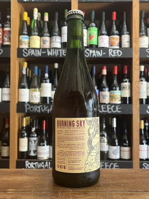 Burning Sky - The Hidden Path - Saison
Seven Cellars