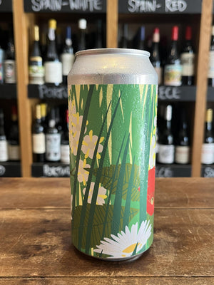 Hand Brew Co. - Dayglow - Elderflower Saison
Seven Cellars
