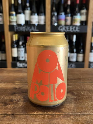 Omnipollo - GF Pilsner
Seven Cellars