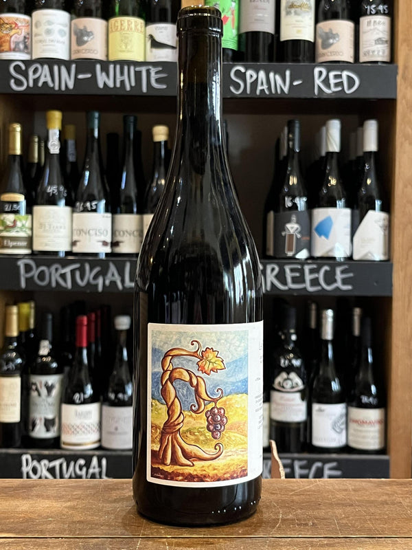 Cantina Giardino - Le Fole - Aglianico