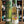 Load image into Gallery viewer, Gordon &amp; Macphail -Discovery - Tomatin 2010 - Whisky
