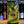 Load image into Gallery viewer, Siren Craft Brew x Duck Pond Brewing - Slam Duck - DIPA - Seven Cellars
